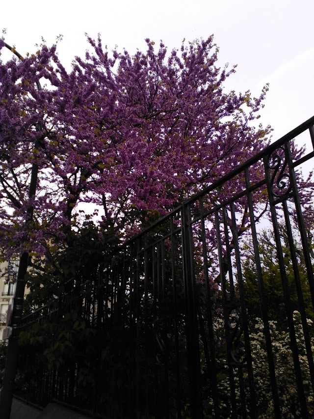 Square Maréchal Joffre