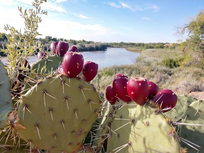 Rio Rancho Bosque Preserve - Riverside Dr Entrance