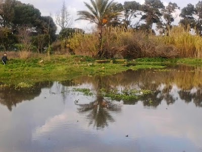 Photos of El Houch