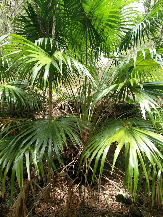 Dularcha National Park