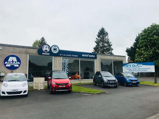 Mini Auto Aixam Voitures sans permis