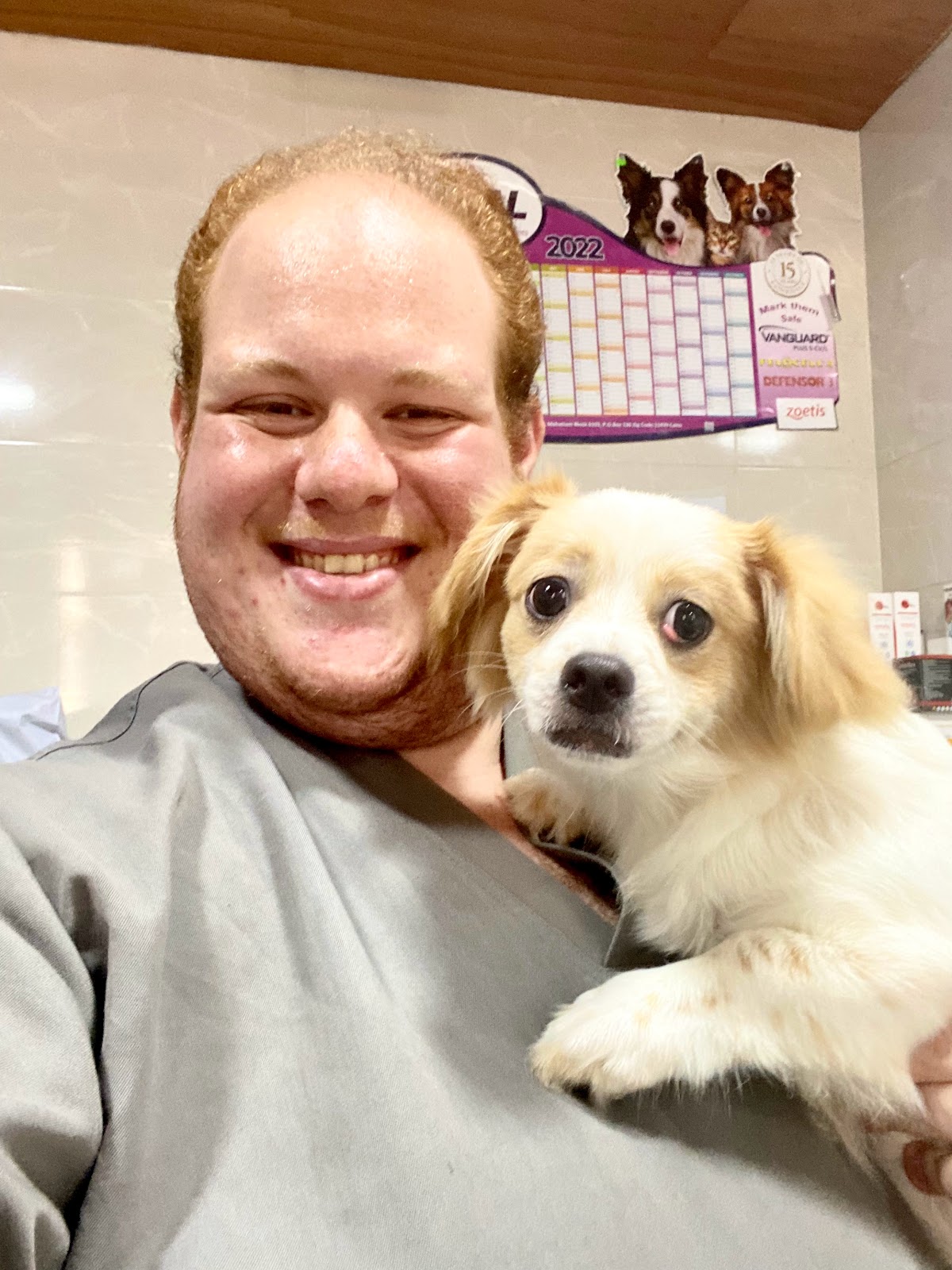 عيادة PUFFY PAWS البيطرية - صورة 2