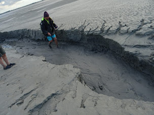 Photo n°22 de Patrice TRÈCHE - Guide baie Mont Saint-Michel à Saint-Pierre-Langers (Promenade)