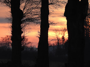 Photo n°20 de Haras du Berry à La Motte-Feuilly (Haras)