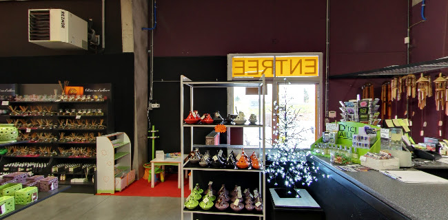 Rue Paul Pastur 153, 7390 Quaregnon