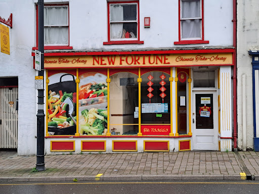 New Fortune Chinese Takeaway - Thumbnail