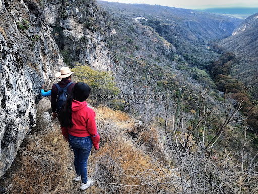 Texcalportal - Thumbnail