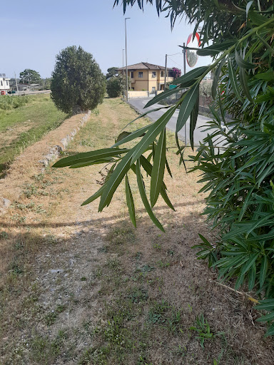 Passeggiata lungofiume - Thumbnail
