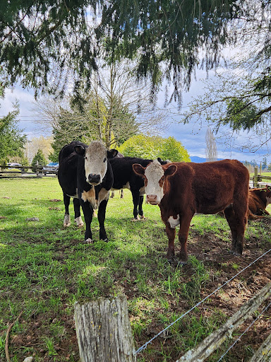 Plateau Veterinary - Visual