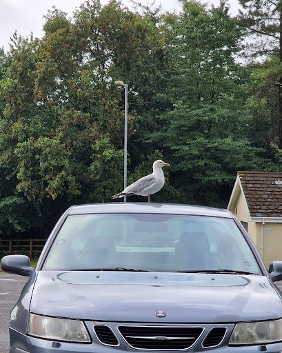 Penblewin Car Park (Free) & WC - Thumbnail