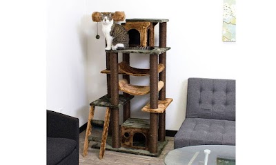 CozyCatFurniture