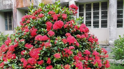 Photos of বীরশ্রেষ্ঠ ক্যাপ্টেন মহিউদ্দীন জাহাঙ্গীর হল, পবিপ্রবি