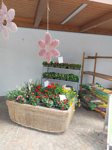 Pfingstmarkt Köngen - Thumbnail