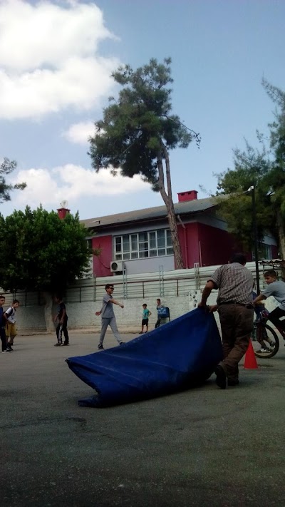 school