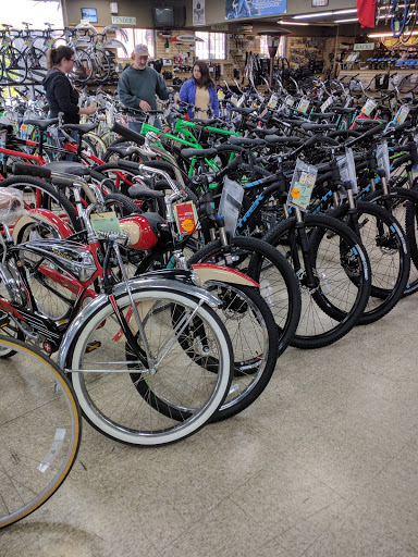 Walt's Cycle - Visual