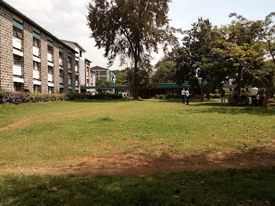 university