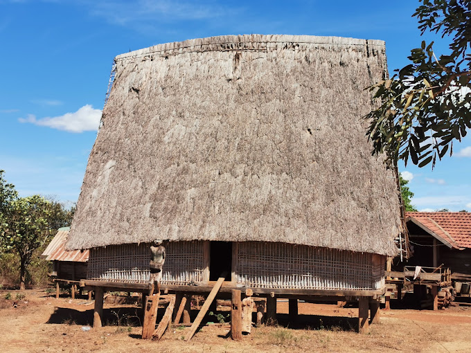 Máy Cưa Phát Cỏ