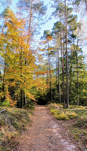 Croix de Ribeauvillé - Thumbnail