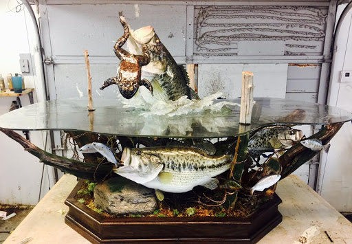 Vanmar Taxidermy & Outdoors - Thumbnail