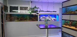 Photo n°1 de Club Aquariophilie à Fondettes (Association ou organisation)