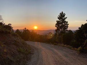 Photo n°38 de Les chevaux de Violette à Les Mayons (Promenade)