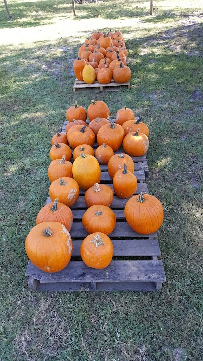 Photos of Conner's A-Maize-Ing Acres