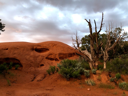 Oasis Group Campground - Thumbnail