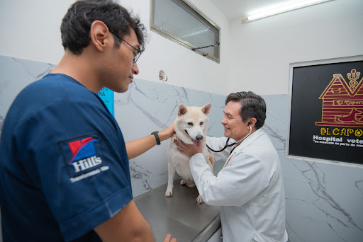 Hospital Veterinario El Caporal Bojórquez