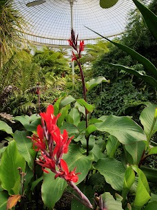 Glasgow Botanic Gardens glasgow