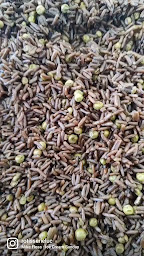 Photo n°8 de Grillade Rotisserie Luc à Saint-François (Restaurant de grillades)