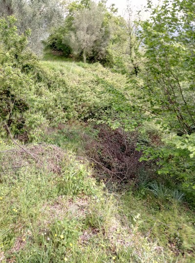 Mnemosine, il Parco di Onzo