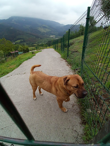 Hotel para perros Hotel Canino Gorbeiazpi