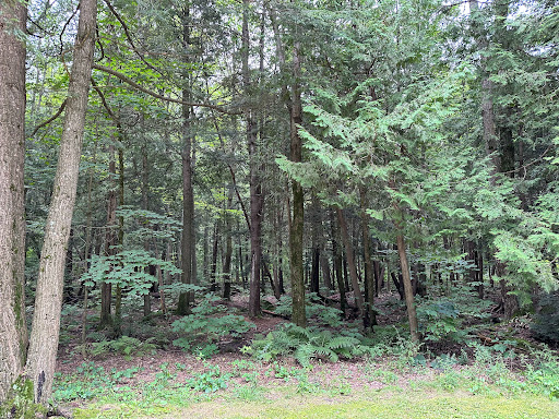 Parc Amédée-Zigby - Visual