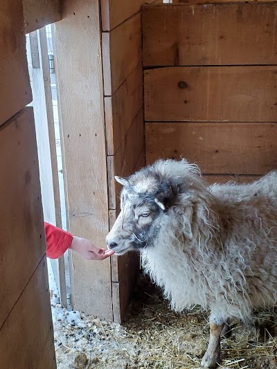 Heritage Farm Petting Zoo Center