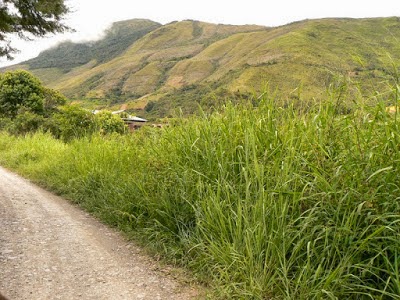 Photos of Amboro Tours