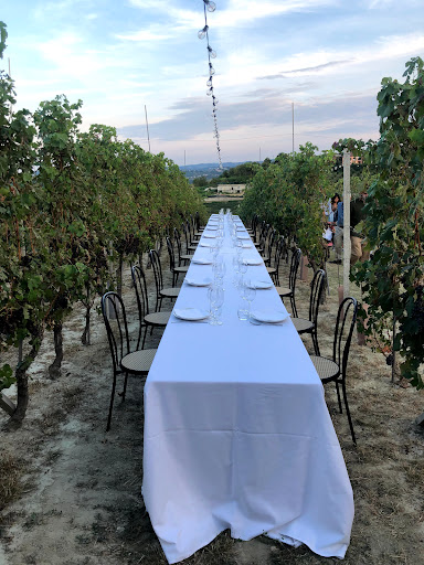 Azienda Agricola Maurizio Ponchione Gallery - Italy