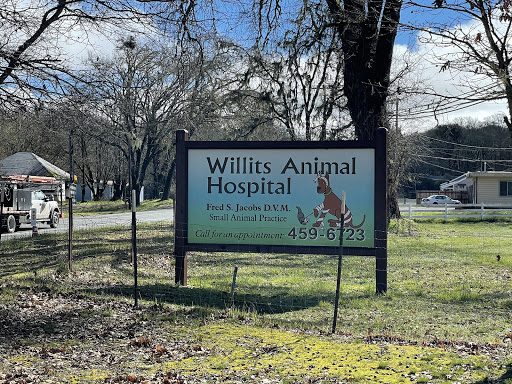 Willits Animal Hospital - Thumbnail