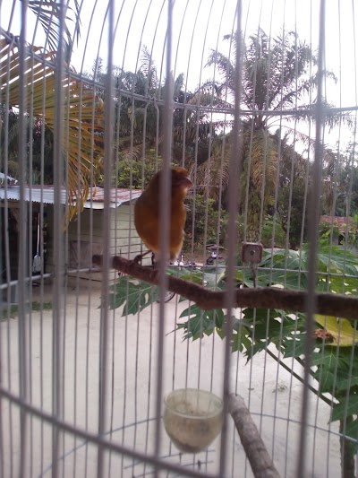 Photos of Warung ABDI