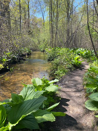 Shu Swamp Nature Preserve Parking, trail access
