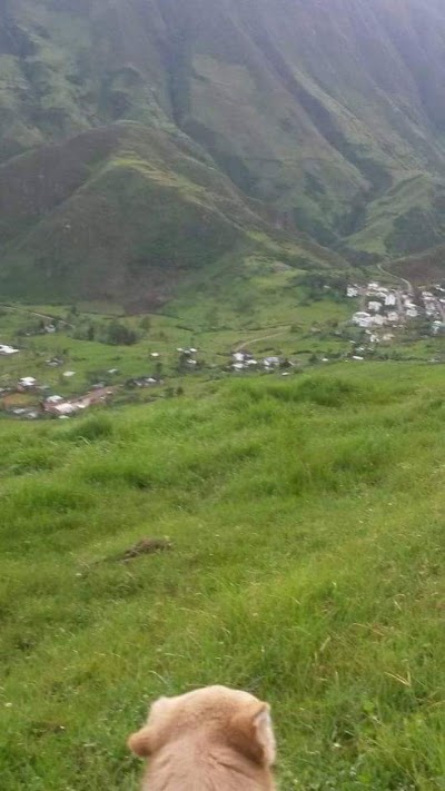 Photos of Centro de Ger Ecuador
