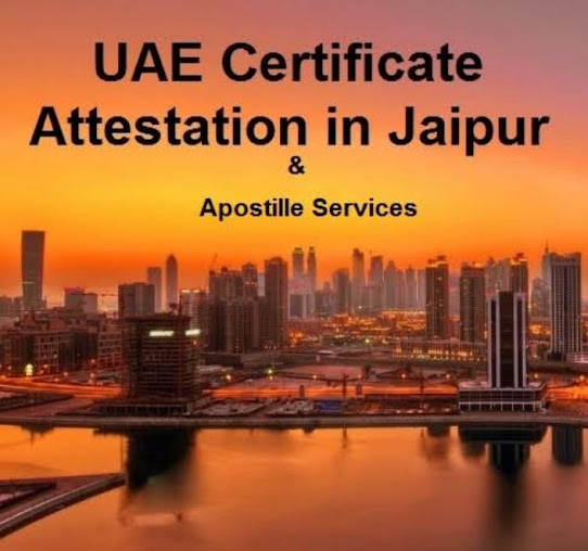 Af1qippl2dd4co73jvytnpcrolg2tgrge6kf Pvkko W=s542 K No