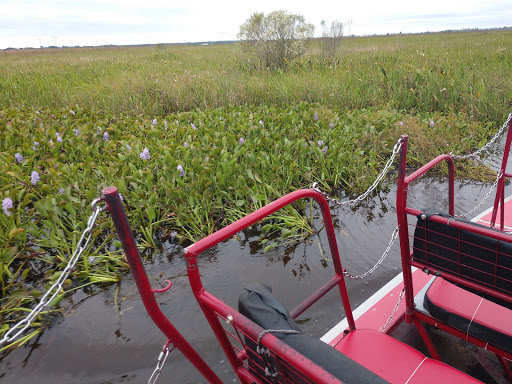 New Orleans Swamp Tours LLC Gallery - United States