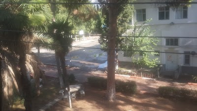 school