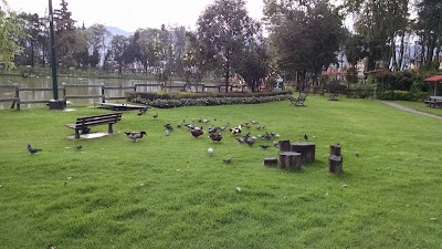 Photos of Hippies Park