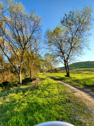 Tassajara Creek Regional Park - Thumbnail