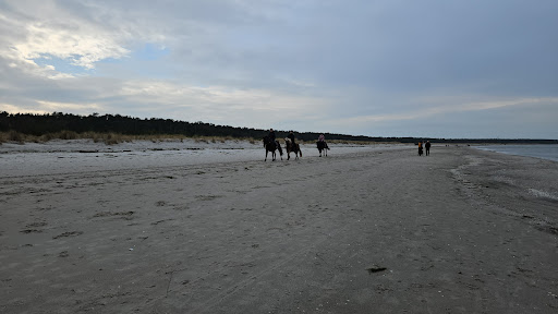Reiten-Prerow - Thumbnail