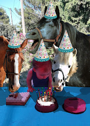 Photo n°23 de Le Lozet à Villeneuve-lès-Avignon (Complexe sportif)