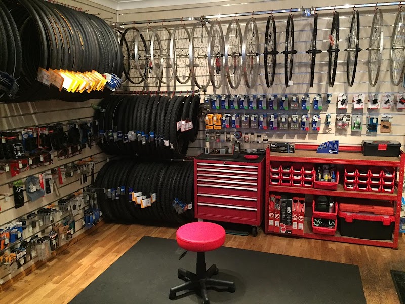 Rolling on cycles photo 2