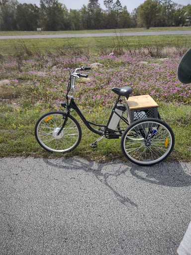 Dixie Trikes - Visual