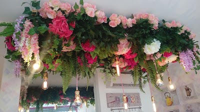 Photos of Festeggiare